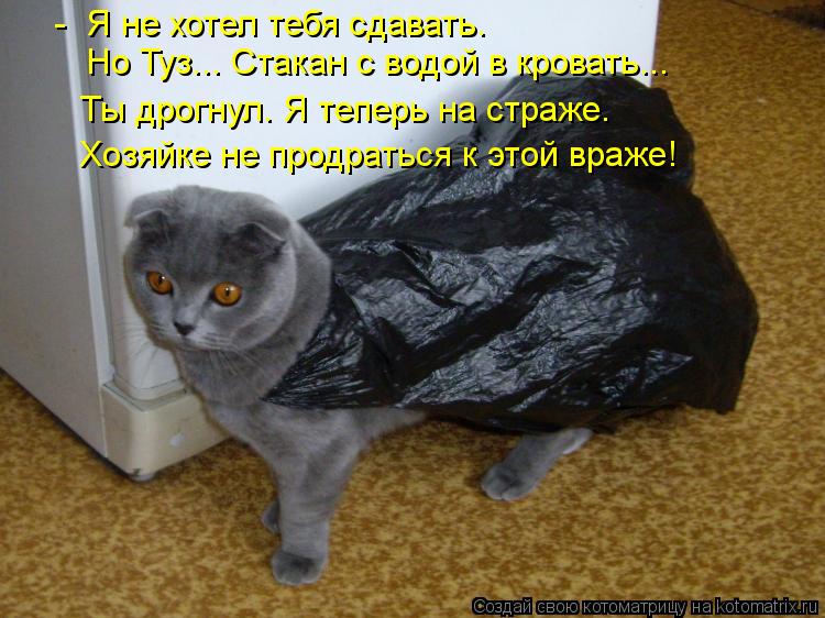 Котоматрица: -  Я не хотел тебя сдавать. Но Туз... Стакан с водой в кровать... Ты дрогнул. Я теперь на страже. Хозяйке не продраться к этой враже!