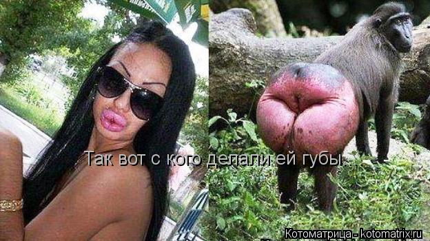 Так вот с кого делали ей губы....... Котоматрица: Так вот с кого делали ей губы....