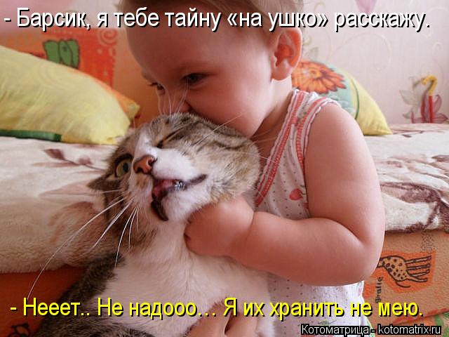 Котоматрица: - Барсик, я тебе тайну «на ушко» расскажу. - Нееет.. Не надооо… Я их хранить не мею.