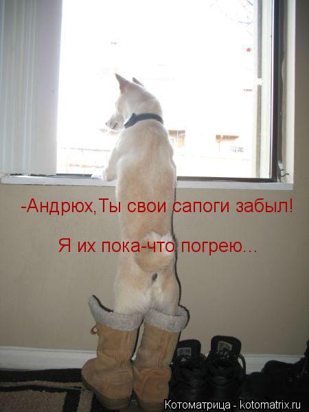 -Андрюх,Ты свои сапоги забыл! Я их пока-что погрею...... Котоматрица: -Андрюх,Ты свои сапоги забыл! Я их пока-что погрею...