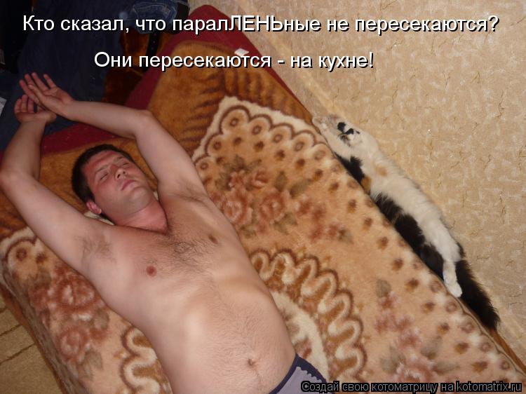 Котоматрица: Кто сказал, что паралЛЕНЬные не пересекаются? Они пересекаются - на кухне!