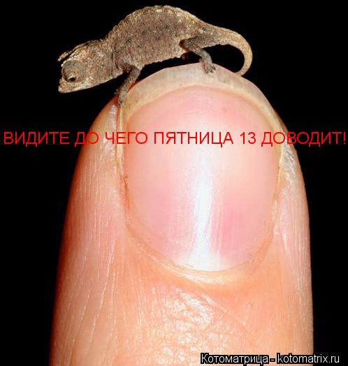 ВИДИТЕ ДО ЧЕГО ПЯТНИЦА 13 ДОВОДИТ!!! ВИДИТЕ ДО ЧЕГО ПЯТНИЦА 13 ДОВОДИТ!!! ВИДИТЕ ДО ЧЕГО ПЯТНИЦА 13 Д... Котоматрица: ВИДИТЕ ДО ЧЕГО ПЯТНИЦА 13 ДОВОДИТ!!! ВИДИТЕ ДО ЧЕГО ПЯТНИЦА 13 ДОВОДИТ!!! ВИДИТЕ ДО ЧЕГО ПЯТНИЦА 13 ДОВОДИТ!!!