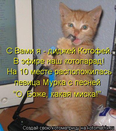 С Вами я - диджей Котофей. В эфире наш котопарад! На 10 месте расположилась певица Мурка с песней "О,... Котоматрица: С Вами я - диджей Котофей. В эфире наш котопарад! На 10 месте расположилась певица Мурка с песней "О, Боже, какая миска!"