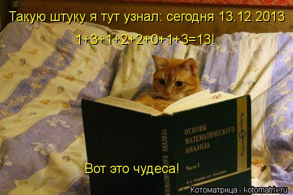 Такую штуку я тут узнал: сегодня 13.12.2013 1+3+1+2+2+0+1+3=13! Вот это чудеса!... Котоматрица: Такую штуку я тут узнал: сегодня 13.12.2013 1+3+1+2+2+0+1+3=13! Вот это чудеса!