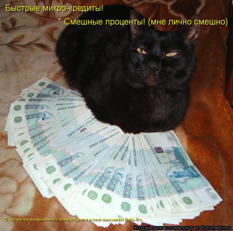 Котоматрица: Быстрые микро-кредиты! Смешные проценты! (мне лично смешно) *В случае несвоевременного возврата долги и пени взыскивает Баба-Яга *