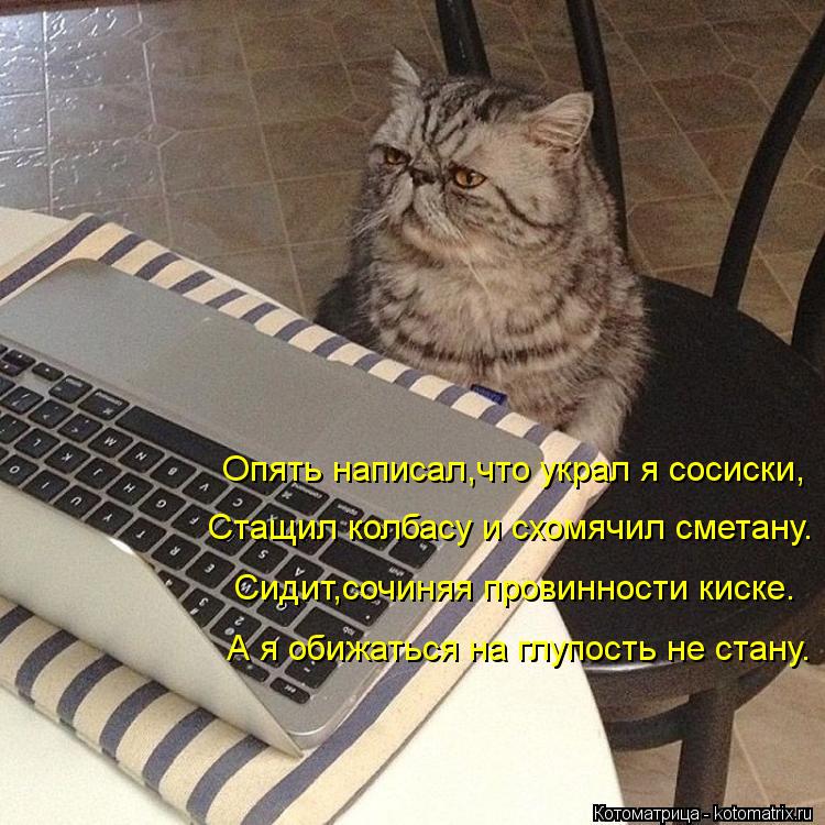 Котоматрица: Опять написал,что украл я сосиски, Стащил колбасу и схомячил сметану. Сидит,сочиняя провинности киске. А я обижаться на глупость не стану.