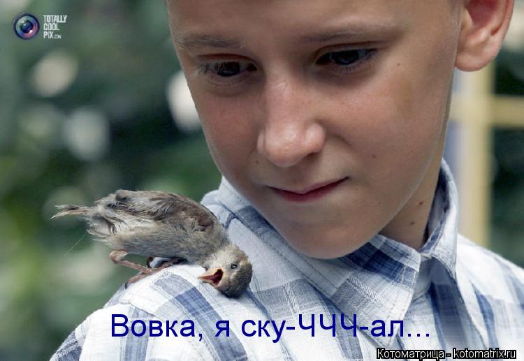 Котоматрица: Вовка, я ску-ЧЧЧ-ал...