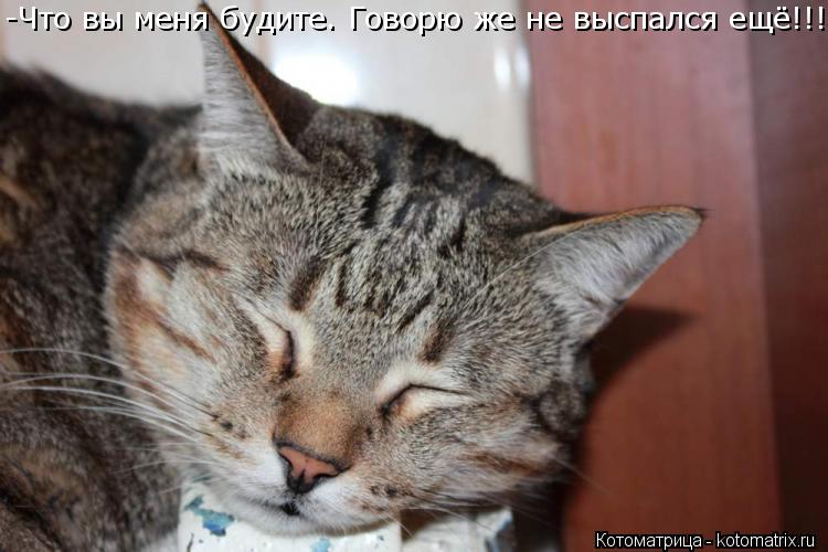 -Что вы меня будите. Говорю же не выспался ещё!!!... Котоматрица: -Что вы меня будите. Говорю же не выспался ещё!!!