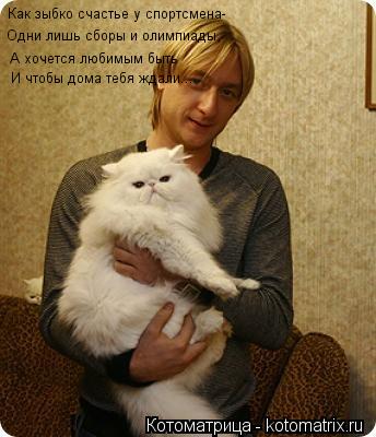 Как зыбко счастье у спортсмена- Одни лишь сборы и олимпиады, А хочется любимым быть И чтобы дома тебя... Котоматрица: Как зыбко счастье у спортсмена- Одни лишь сборы и олимпиады, А хочется любимым быть И чтобы дома тебя ждали...