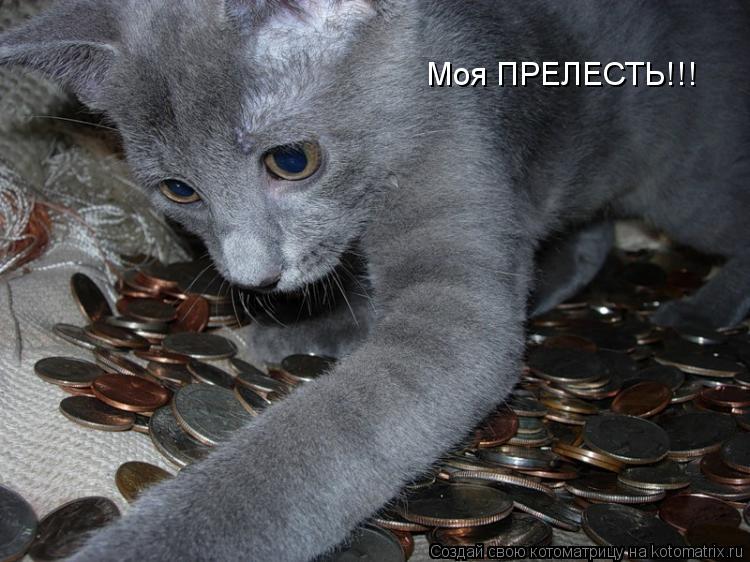 Моя ПРЕЛЕСТЬ!!!... Котоматрица: Моя ПРЕЛЕСТЬ!!!