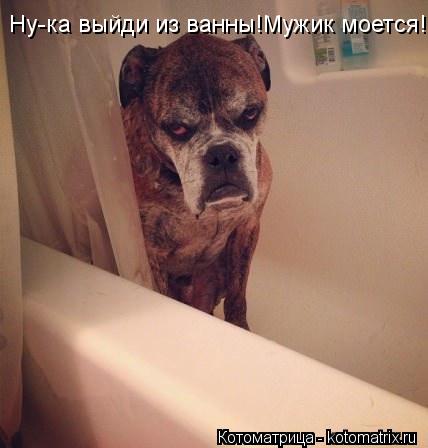 Котоматрица: Ну-ка выйди из ванны!Мужик моется!
