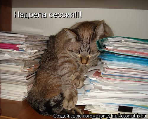 Надоела сессия!!!... Котоматрица: Надоела сессия!!!