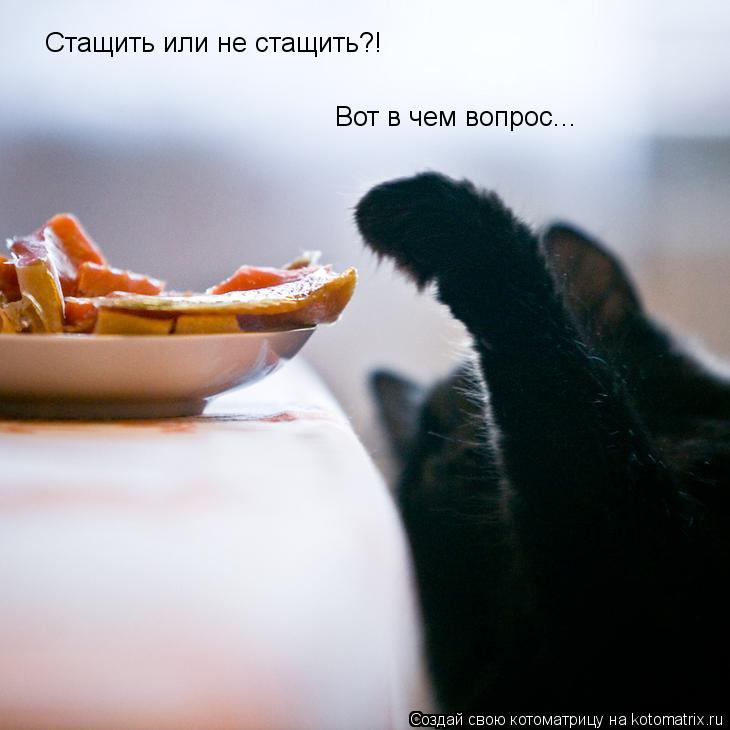 Стащить или не стащить?! Вот в чем вопрос...... Котоматрица: Стащить или не стащить?! Вот в чем вопрос...