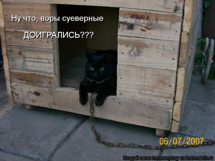 Котоматрица: Ну что, воры суеверные ДОИГРАЛИСЬ???