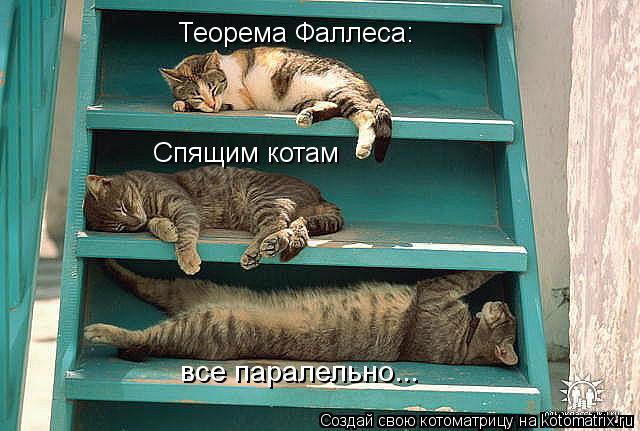 Котоматрица: Теорема Фаллеса: Спящим котам все паралельно...