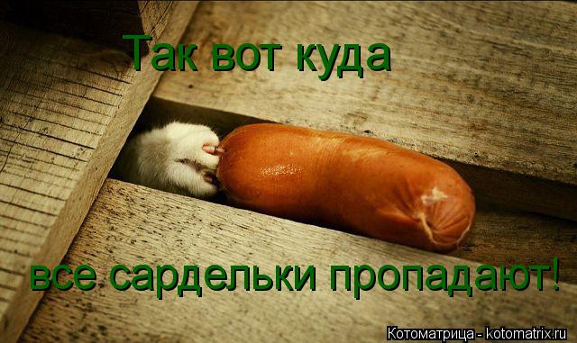 Так вот куда все сардельки пропадают!... Котоматрица: Так вот куда все сардельки пропадают!