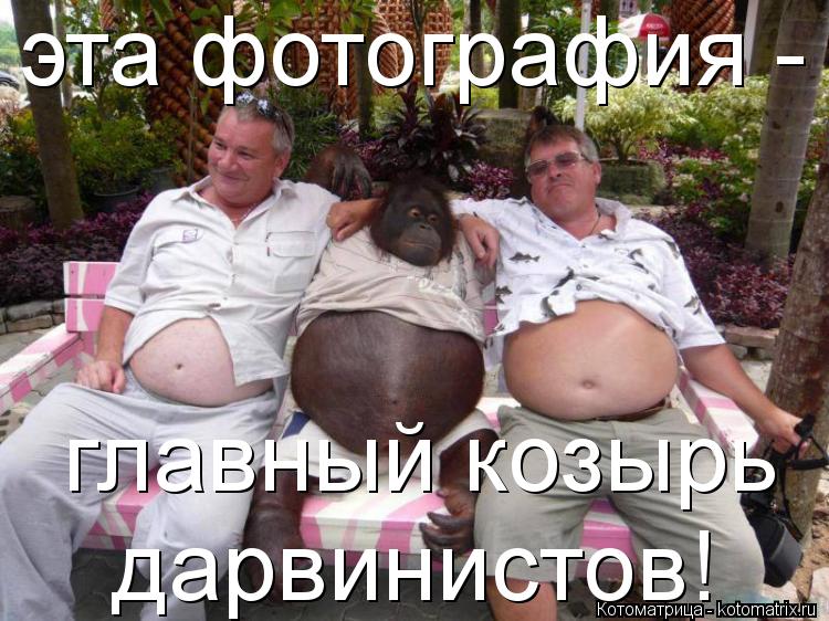 эта фотография - главный козырь дарвинистов!... Котоматрица: эта фотография - главный козырь дарвинистов!