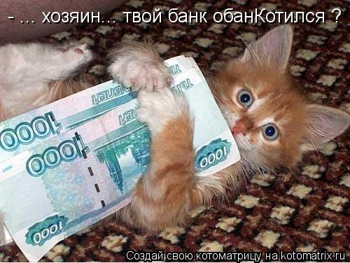 - ... хозяин... твой банк обанКотился ?... Котоматрица: - ... хозяин... твой банк обанКотился ?