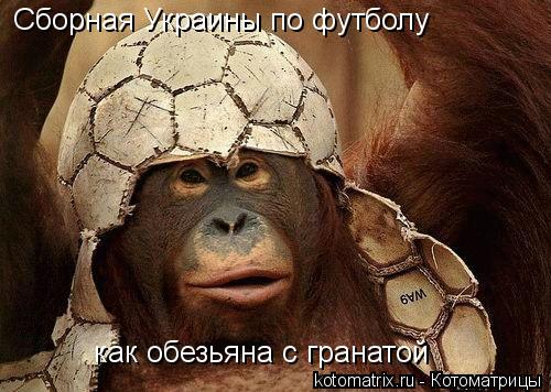 Сборная Украины по футболу как обезьяна с гранатой... Котоматрица: Сборная Украины по футболу как обезьяна с гранатой