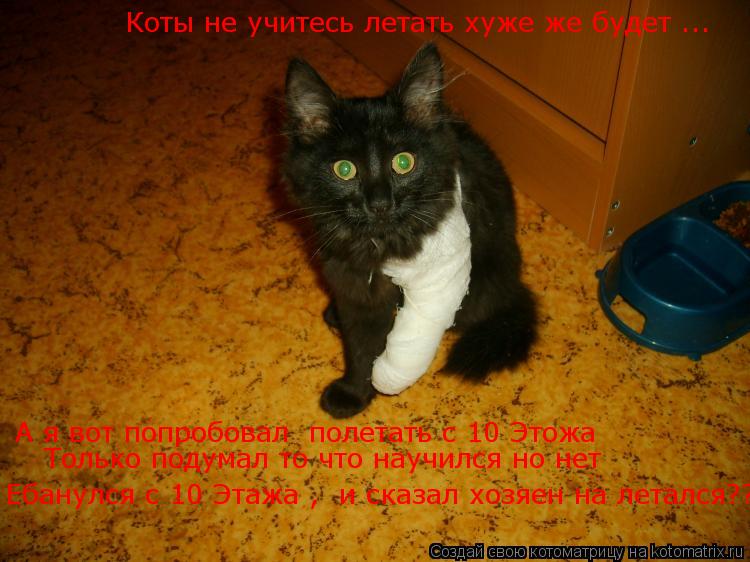 Коты не учитесь летать хуже же будет .. Коты не учитесь летать хуже же будет ... А я вот попробовал ... Котоматрица: Коты не учитесь летать хуже же будет .. Коты не учитесь летать хуже же будет ... А я вот попробовал полетать с 10 Этожа Только подумал то что на
