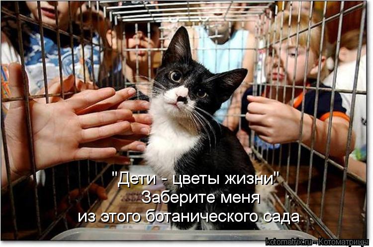 Котоматрица: "Дети - цветы жизни" Заберите меня из этого ботанического сада