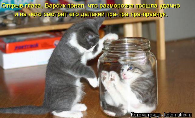 Котоматрица: Открыв глаза, Барсик понял, что разморозка прошла удачно и на него смотрит его далекий пра-пра-пра-правнук.