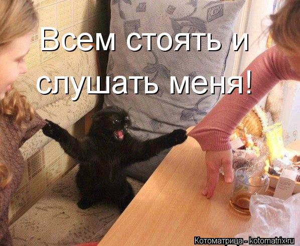 Всем стоять и слушать меня!... Котоматрица: Всем стоять и слушать меня!
