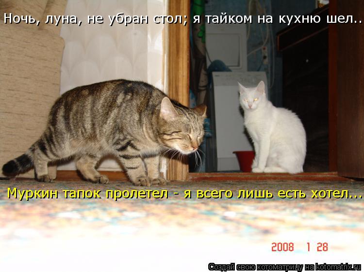Муркин тапок пролетел - я всего лишь есть хотел... Ночь, луна, не убран стол; я тайком на кухню шел..... Котоматрица: Муркин тапок пролетел - я всего лишь есть хотел... Ночь, луна, не убран стол; я тайком на кухню шел...