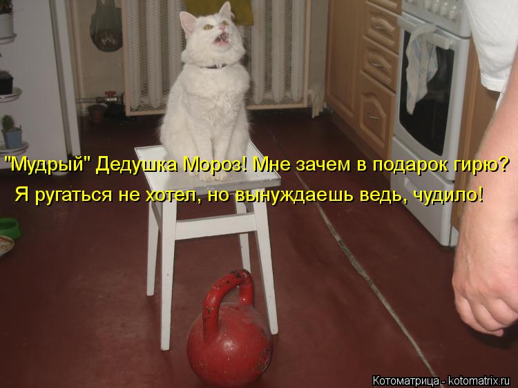 "Мудрый" Дедушка Мороз! Мне зачем в подарок гирю? Я ругаться не хотел, но вынуждаешь ведь, чудило!... Котоматрица: "Мудрый" Дедушка Мороз! Мне зачем в подарок гирю? Я ругаться не хотел, но вынуждаешь ведь, чудило!