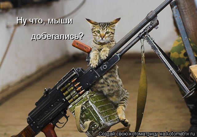 Котоматрица: Ну что, мыши добегались?
