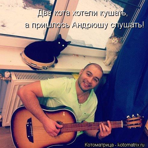 Два кота хотели кушать, а пришлось Андрюшу слушать!... Котоматрица: Два кота хотели кушать, а пришлось Андрюшу слушать!