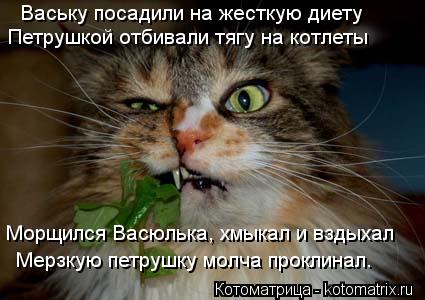 Котоматрица: Ваську посадили на жесткую диету Петрушкой отбивали тягу на котлеты Морщился Васюлька, хмыкал и вздыхал Мерзкую петрушку молча проклинал.