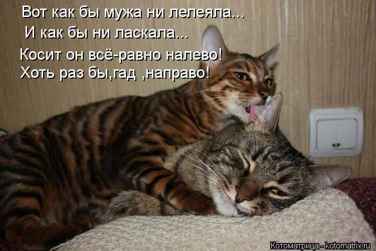 Косит он всё-равно налево! Хоть раз бы,гад ,направо! Вот как бы мужа ни лелеяла... И как бы ни ласкал... Котоматрица: Косит он всё-равно налево! Хоть раз бы,гад ,направо! Вот как бы мужа ни лелеяла... И как бы ни ласкала...