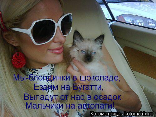 Мы-блондинки в шоколаде, Ездим на Бугатти, Выпадут от нас в осадок Мальчики на автопати!... Котоматрица: Мы-блондинки в шоколаде, Ездим на Бугатти, Выпадут от нас в осадок Мальчики на автопати!