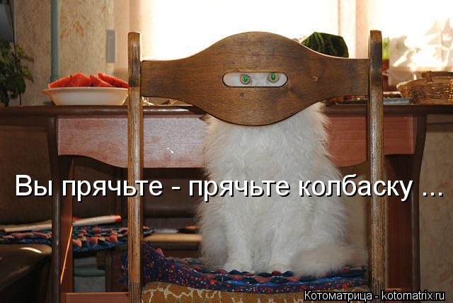 Котоматрица: Вы прячьте - прячьте колбаску ...