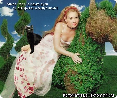 Алиса, это ж сколько дури ты выкурила на выпускном?!... Котоматрица: Алиса, это ж сколько дури ты выкурила на выпускном?!