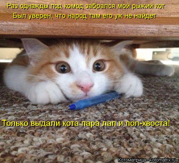 Котоматрица: Раз однажды под комод забрался мой рыжий кот Был уверен, что народ там его уж не найдет Только выдали кота пара лап и пол-хвоста!
