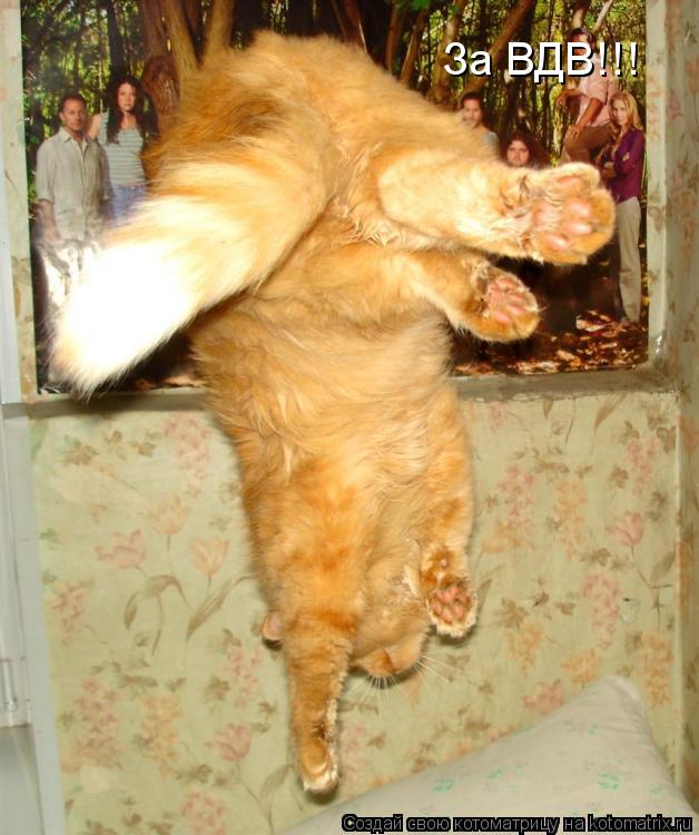 Котоматрица: За ВДВ!!!