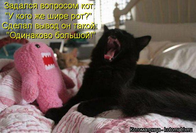 Задался вопросом кот: "У кого же шире рот?" Сделал вывод он такой: "Одинаково большой!"... Котоматрица: Задался вопросом кот: "У кого же шире рот?" Сделал вывод он такой: "Одинаково большой!"