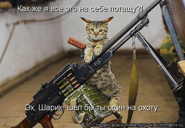 Котоматрица: Как же я всё это на себе потащу?! Эх, Шарик, шел бы ты один на охоту...