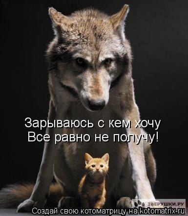 Котоматрица: Зарываюсь с кем хочу Все равно не получу!