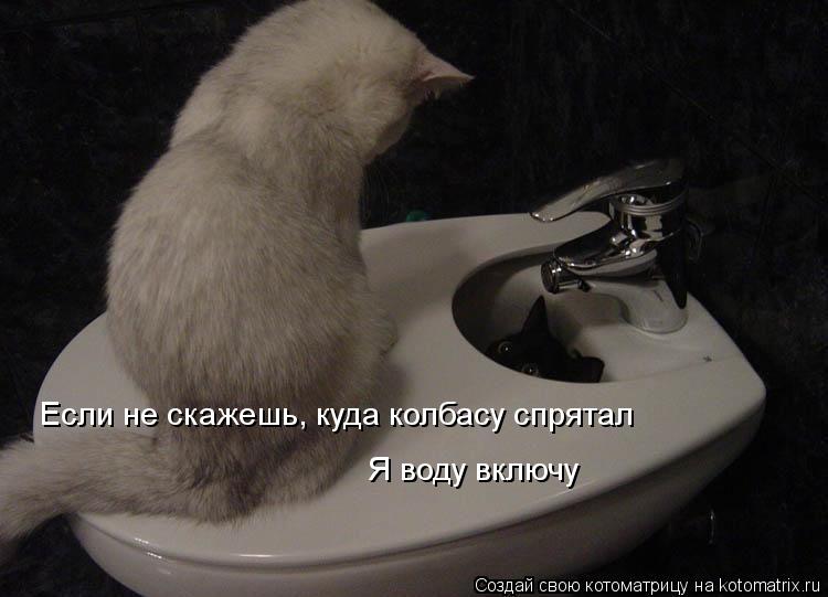Котоматрица: Если не скажешь, куда колбасу спрятал Я воду включу