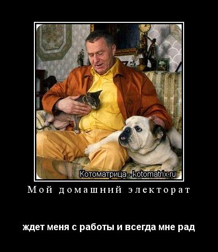 Мой домашний электорат ждет меня с работы и всегда мне рад... Котоматрица: Мой домашний электорат ждет меня с работы и всегда мне рад
