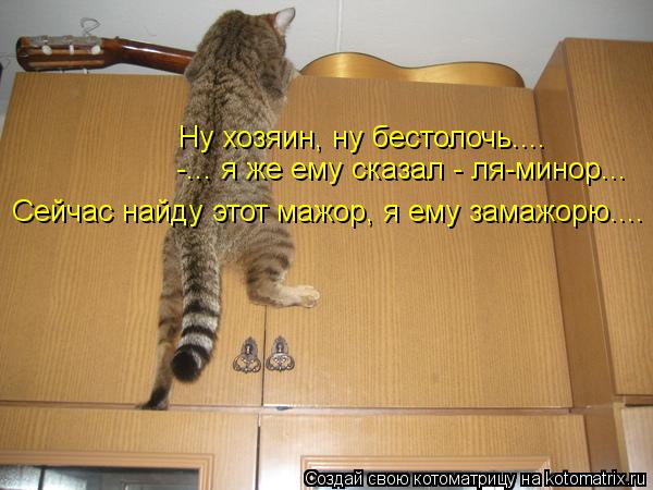 Котоматрица: -... я же ему сказал - ля-минор... Сейчас найду этот мажор, я ему замажорю.... Ну хозяин, ну бестолочь....