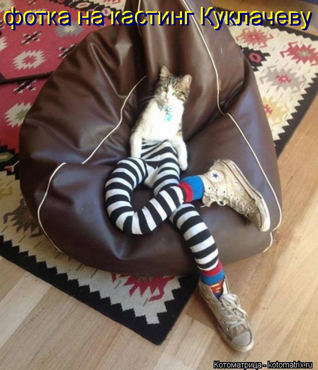 Котоматрица: фотка на кастинг Куклачеву фотка на кастинг Куклачеву