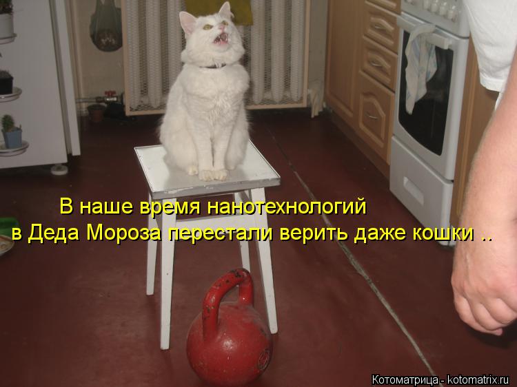 В наше время нанотехнологий в Деда Мороза перестали верить даже кошки ..... Котоматрица: В наше время нанотехнологий в Деда Мороза перестали верить даже кошки ..