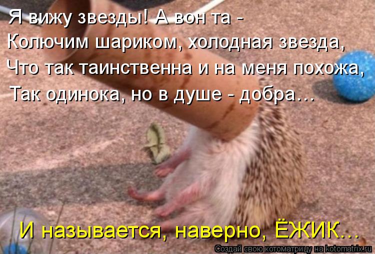 Колючим шариком, холодная звезда, Что так таинственна и на меня похожа, Так одинока, но в душе - добр... Котоматрица: Колючим шариком, холодная звезда, Что так таинственна и на меня похожа, Так одинока, но в душе - добра… И называется, наверно, ЁЖИК… Я вижу зв