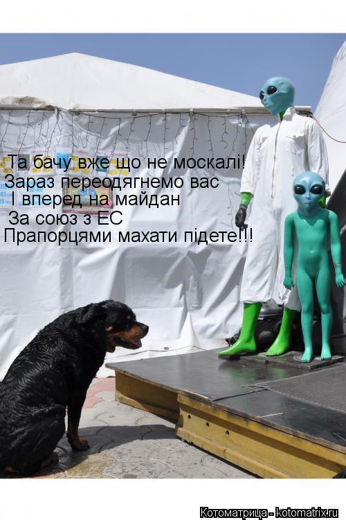 Та бачу вже що не москалі! Зараз переодягнемо вас І вперед на майдан За союз з ЕС Прапорцями махати ... Котоматрица: Та бачу вже що не москалі! Зараз переодягнемо вас І вперед на майдан За союз з ЕС Прапорцями махати підете!!!