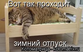 зимний отпуск. Вот так проходит... Котоматрица: зимний отпуск. Вот так проходит