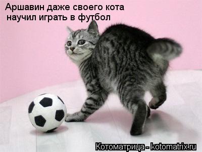 Аршавин даже своего кота научил играть в футбол... Котоматрица: Аршавин даже своего кота научил играть в футбол